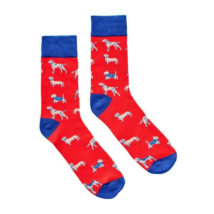 Socks in A Tin - Dogs