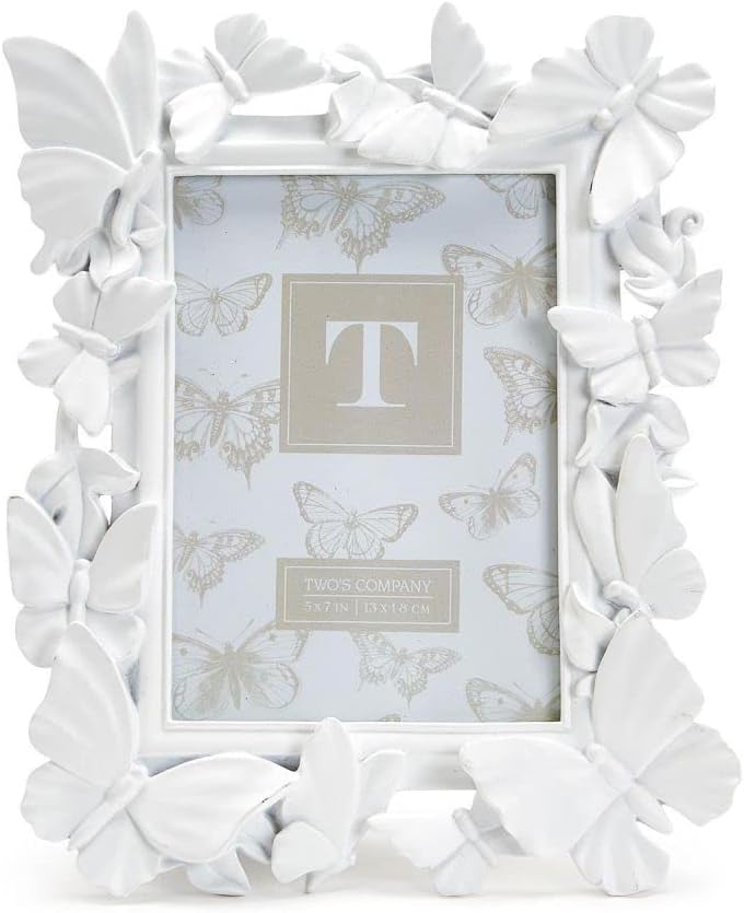 Butterfly Frame