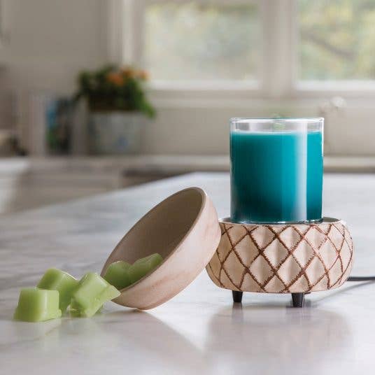 2-in-1 Fragrance Warmer