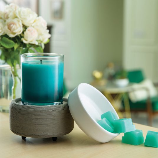 2-in-1 Fragrance Warmer