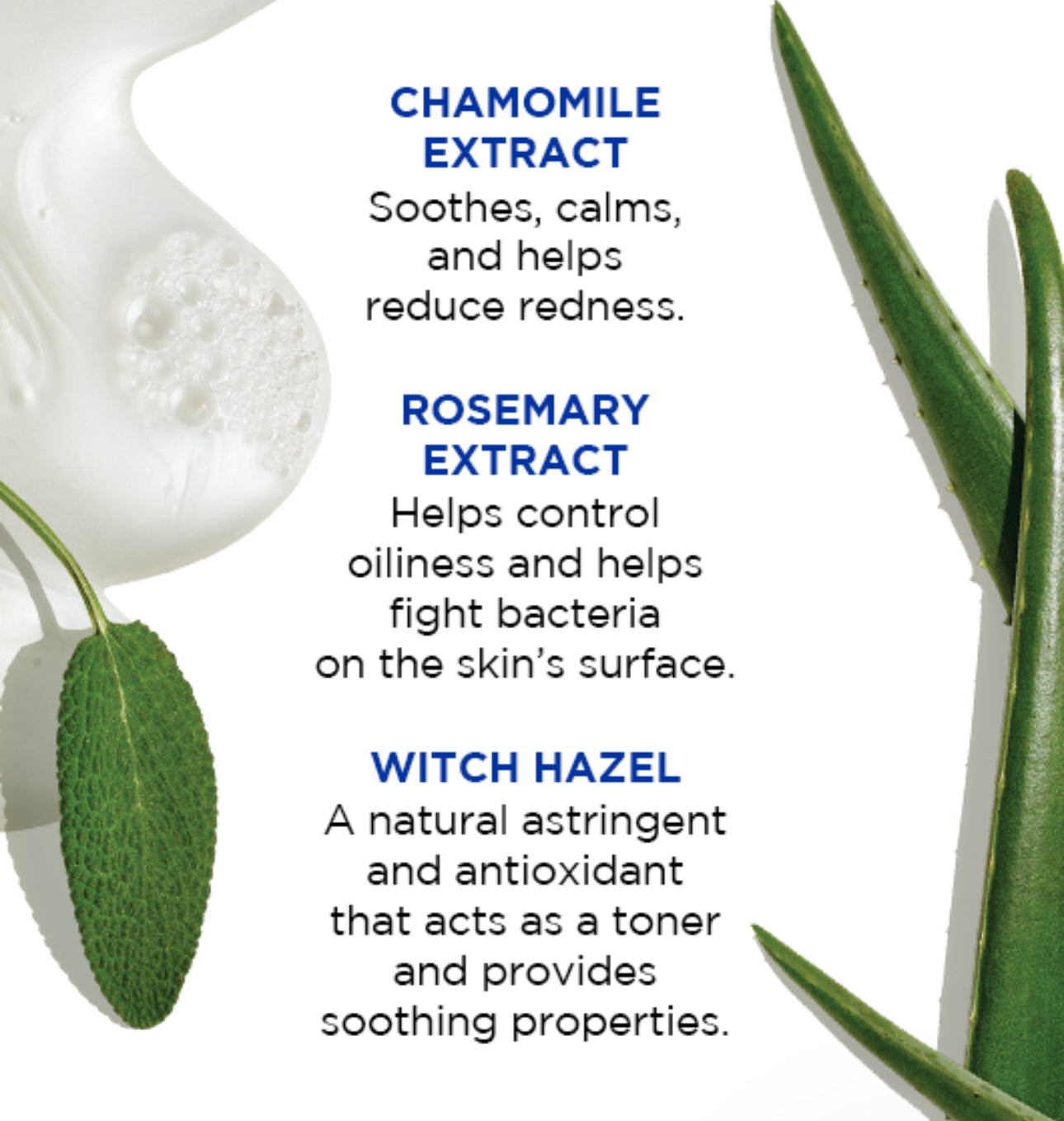 Pure Clean Daily Facial Cleanser with Aloe & Sage Leaf