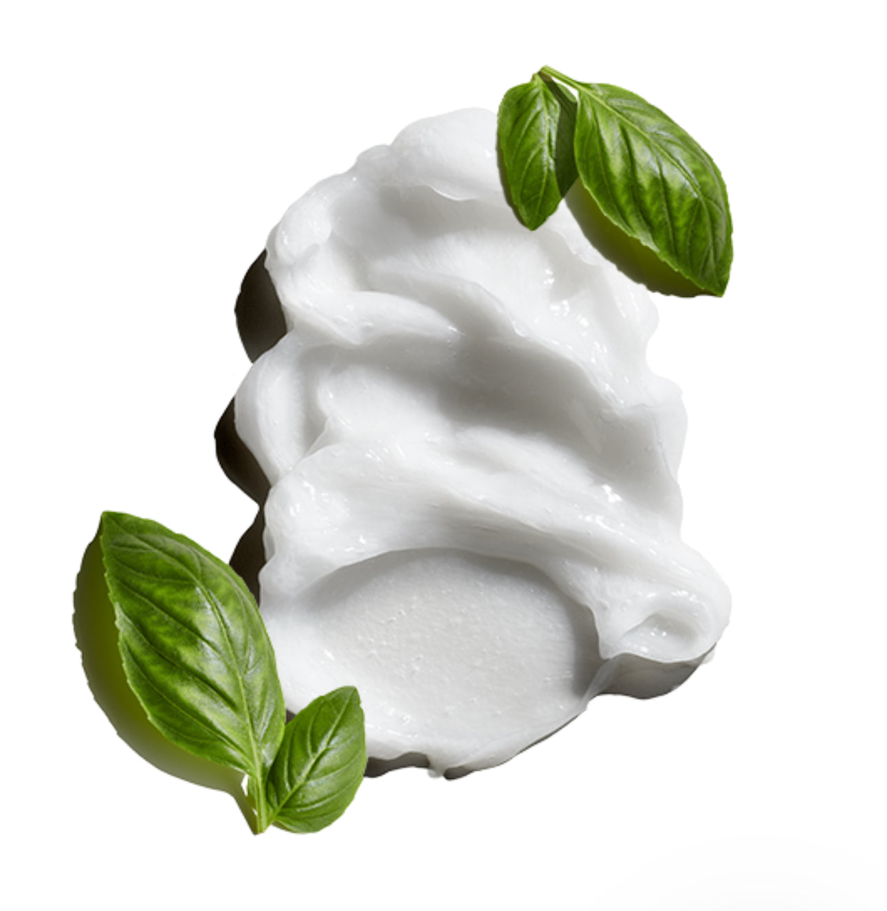 Nourishing Hair & Scalp Conditioner with Tea Tree Oil & Basil Leaf