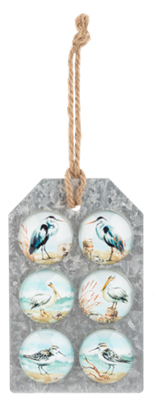 Shorebird Magnet (6 pc. set)