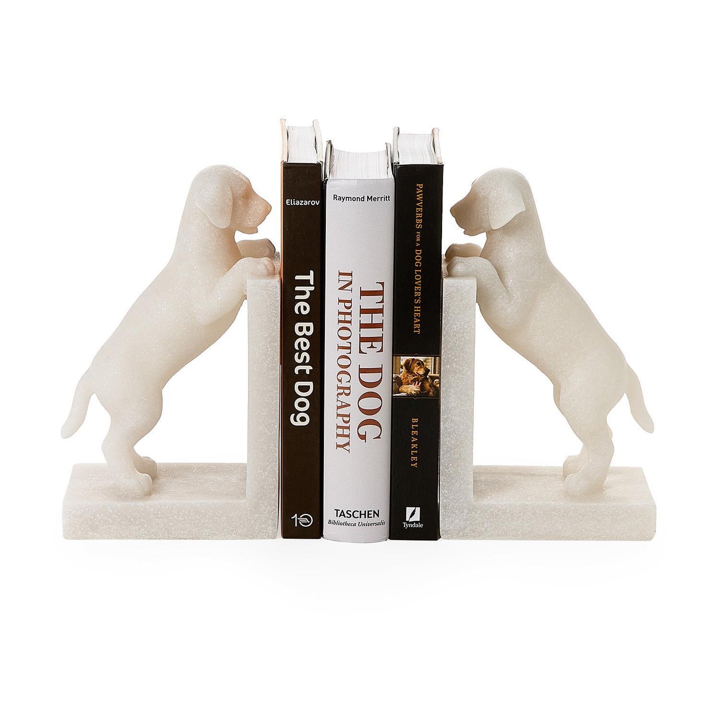 Playful Puppy Dog Set of 2 Book Ends
