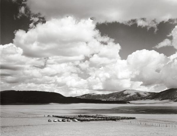 Harvey Caplin's Real Cowboys & the Old West