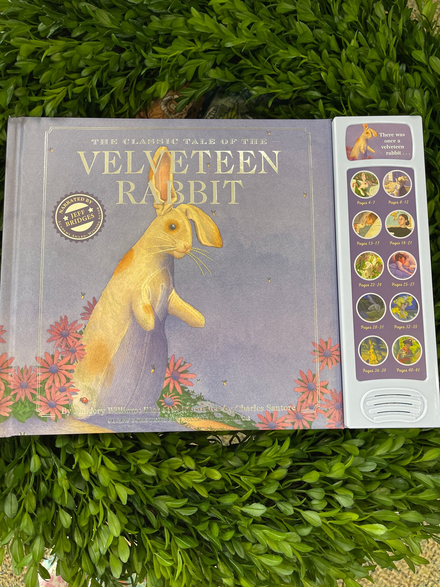 The Velveteen Rabbit
