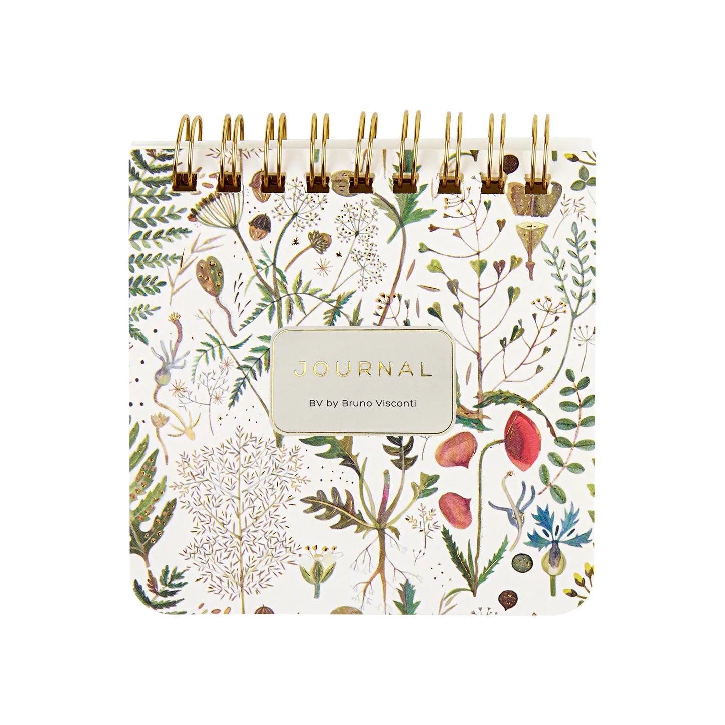 Journal BV by Bruno Visconti