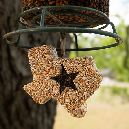 Lone Star Seed Treat