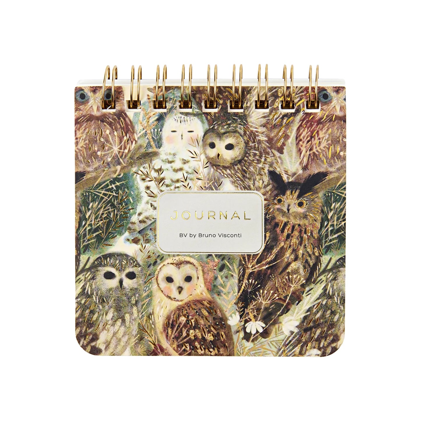 Journal BV by Bruno Visconti